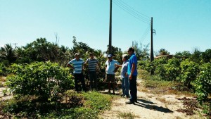 Senhor Jorge Soares e engenheros agronomos do CCG - UFRRJ na lavoura de goiaba enxertada em cavalo resistente a nematóides.