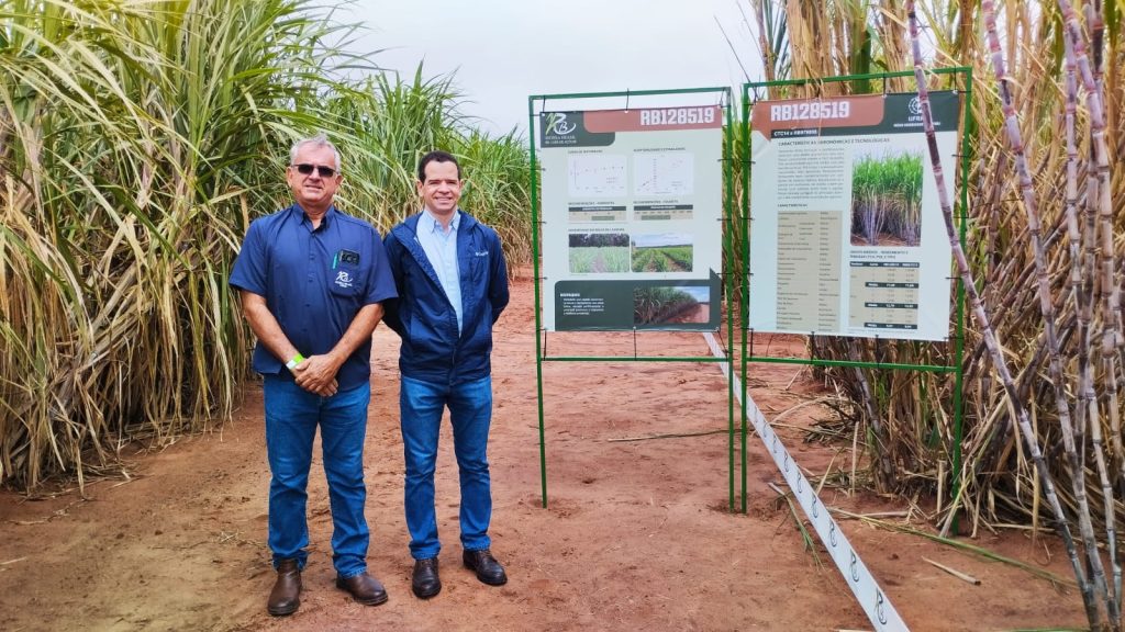 PMGCA/UFRRJ participa de evento de liberação de variedades RB no Paraná